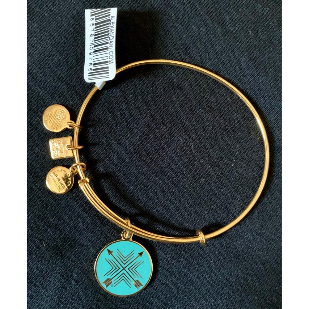 Alex and Ani Arrows of Friendship Charm Bangle